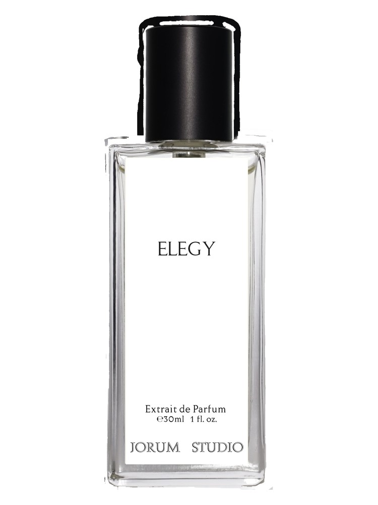 Elegy