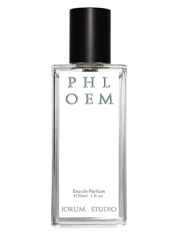 Phloem