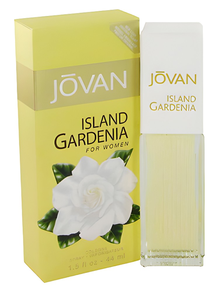 Island Gardenia