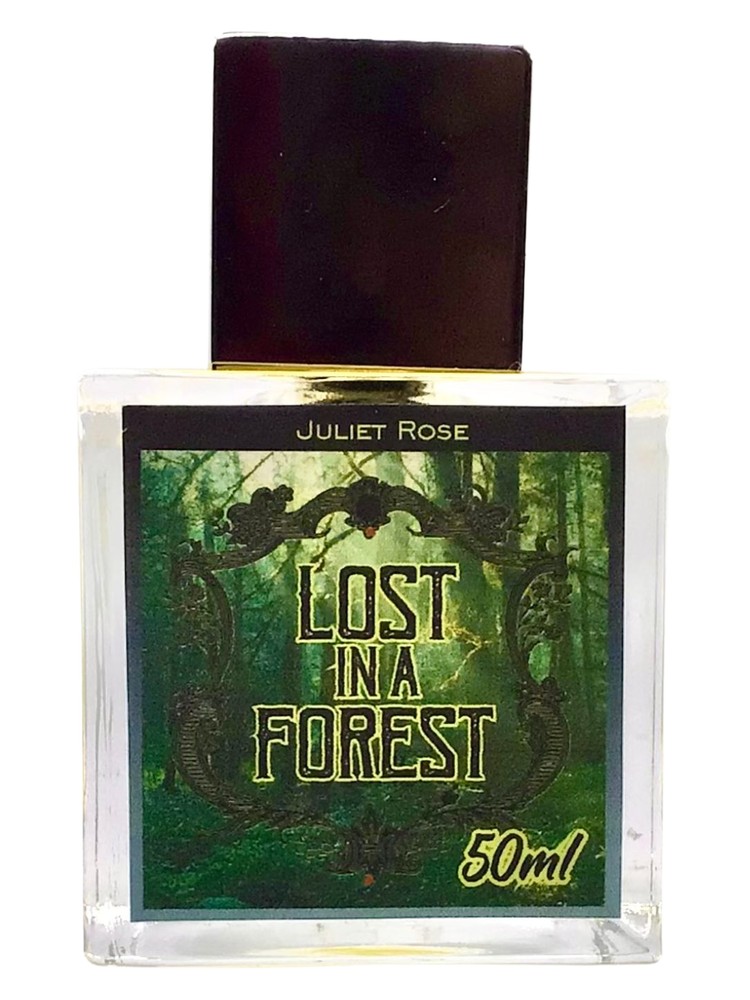 Lost in a Forest