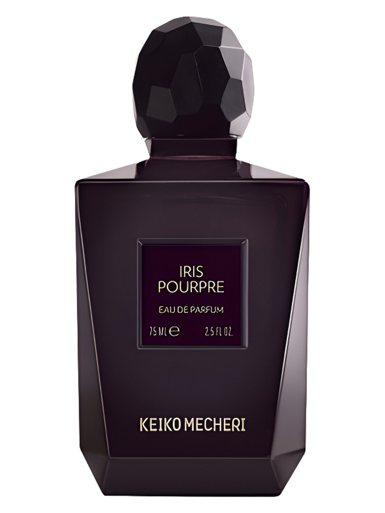 Iris Pourpre