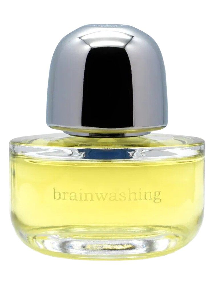 Brainwashing