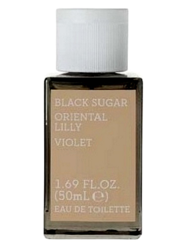 Black Sugar Oriental Lily Violet