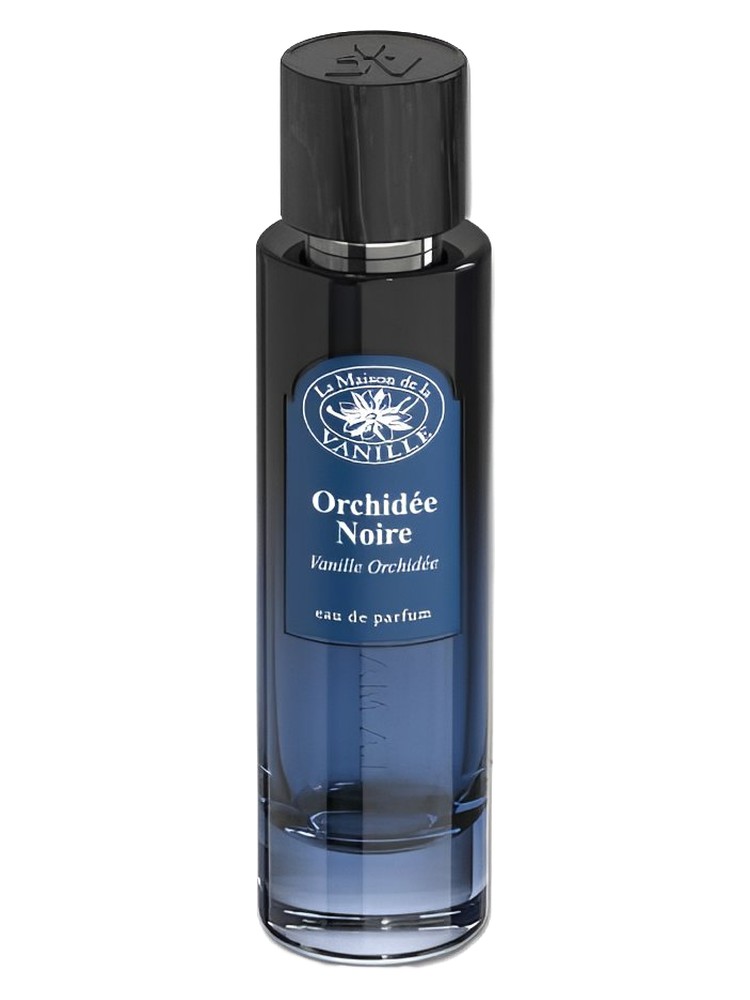 Orchidée Noire