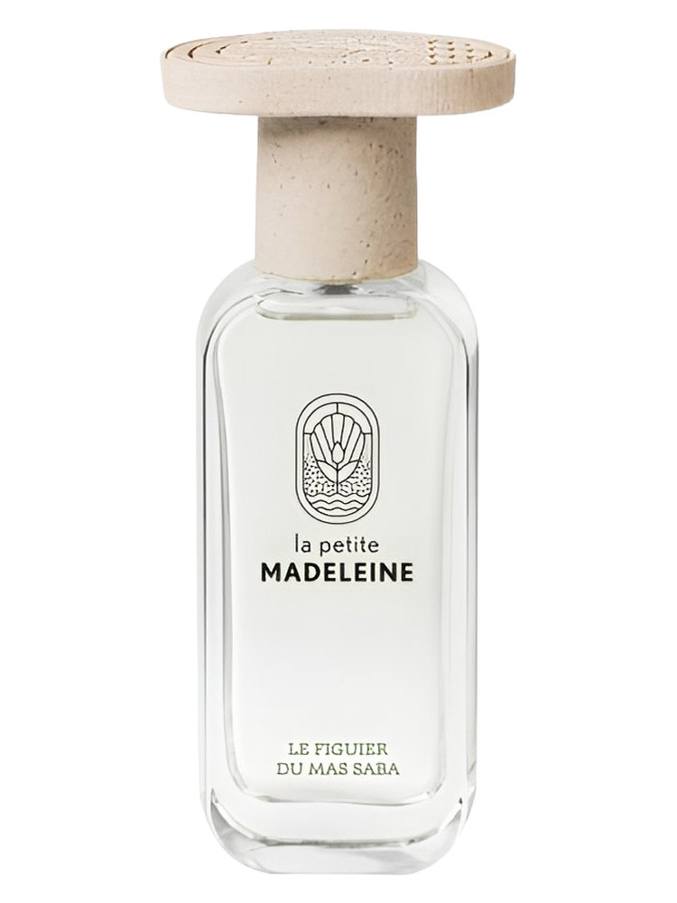 Le Figuier du Mas Saba