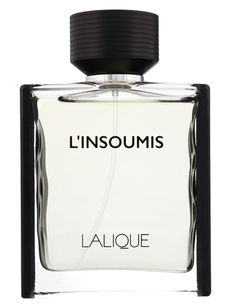 L'Insoumis