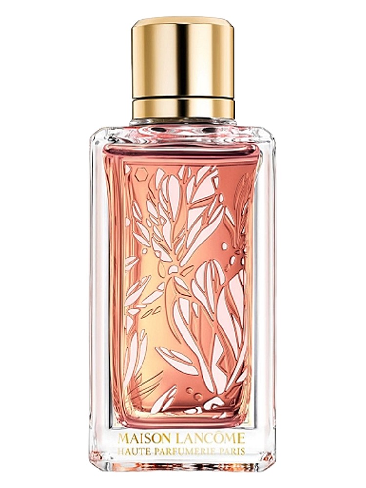 Magnolia Rosae