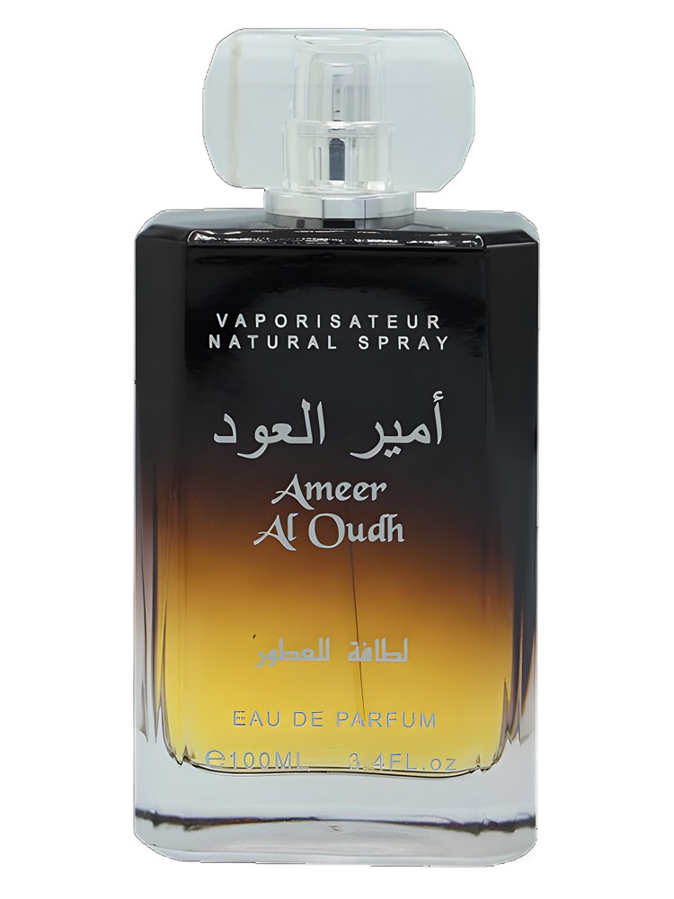 Ameer Al Oudh