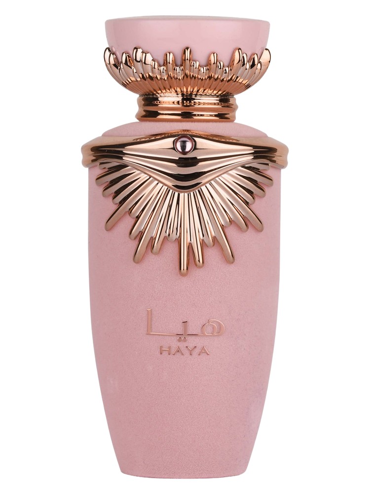 Haya