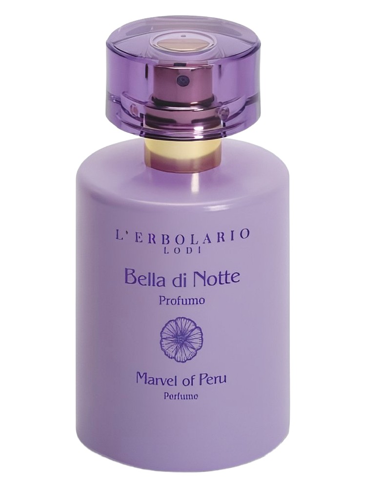 Bella di Notte (Marvel of Peru)