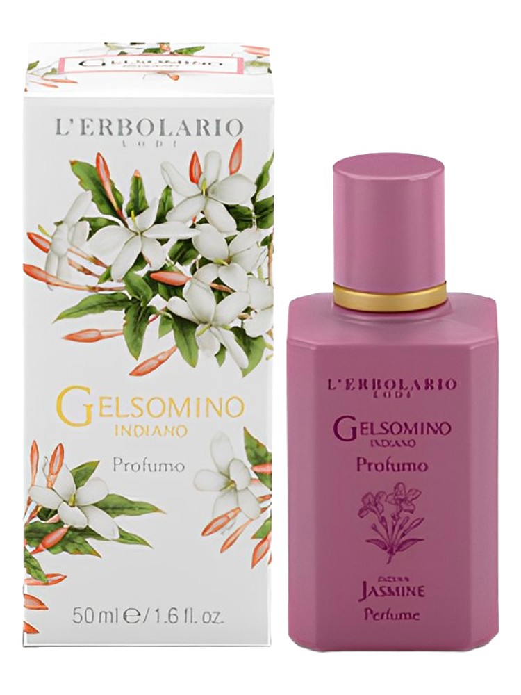 Gelsomino Indiano