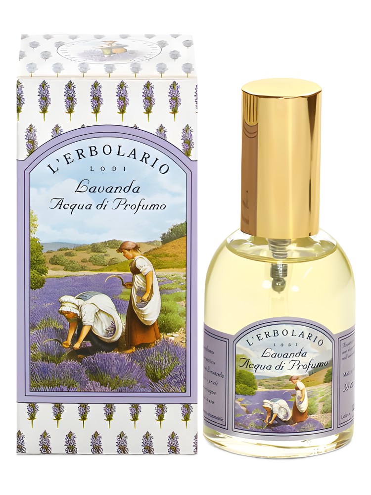 Lavanda