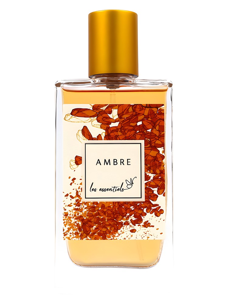 Ambre