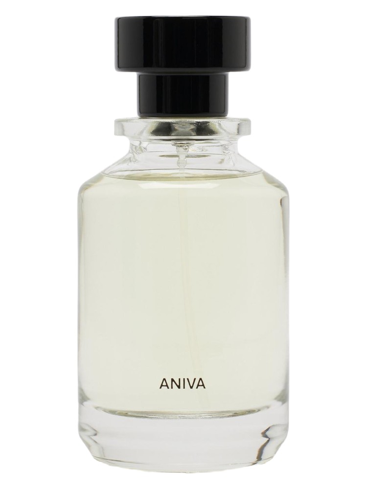 Aniva