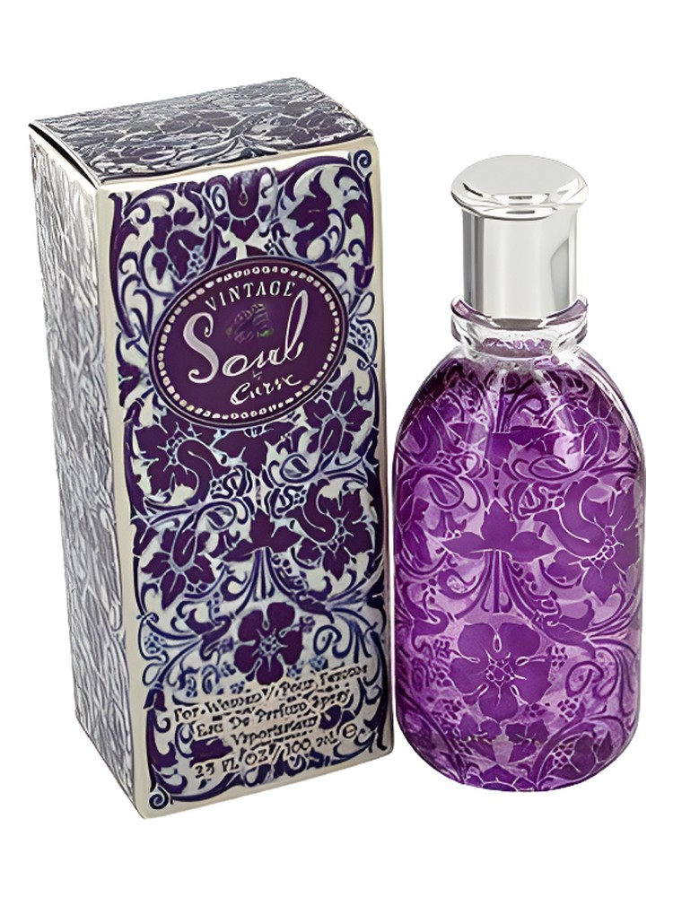 Curve Soul Vintage