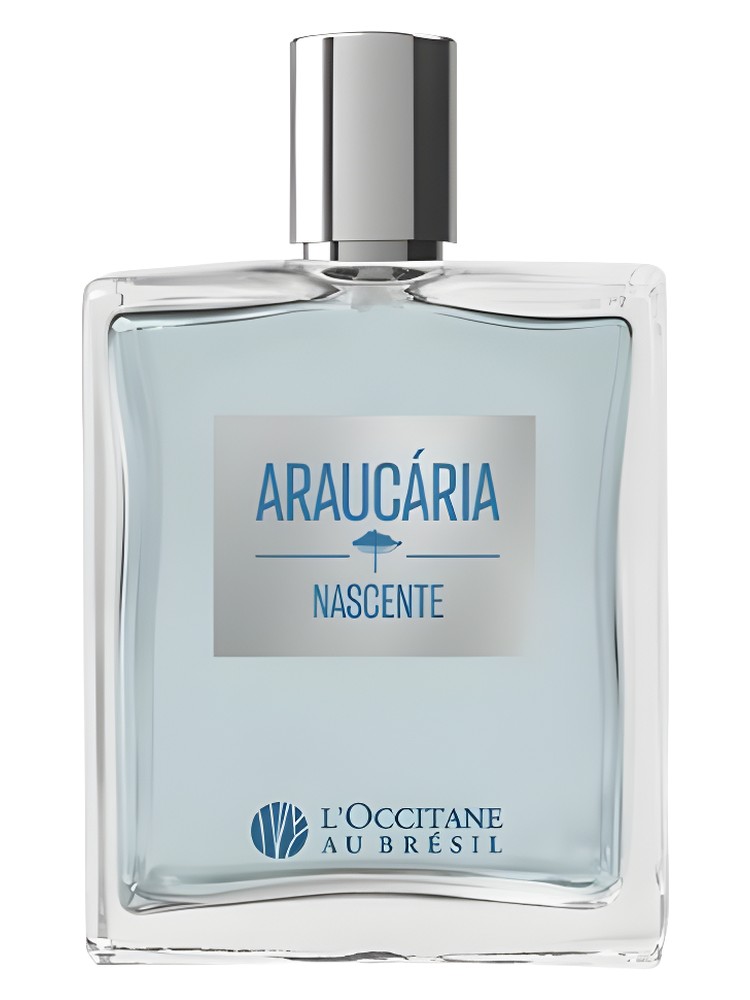 Araucária Nascente