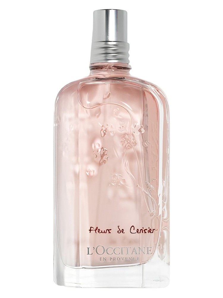 Fleurs De Cerisier