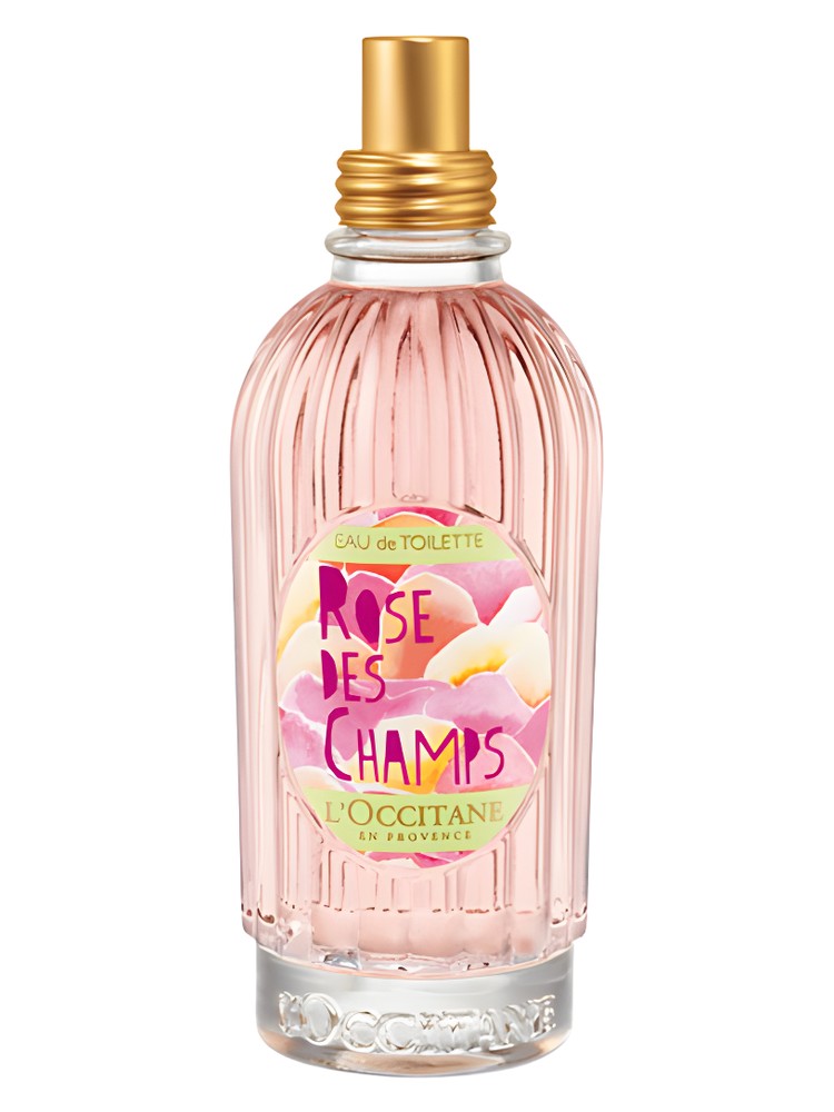 Rose des Champs