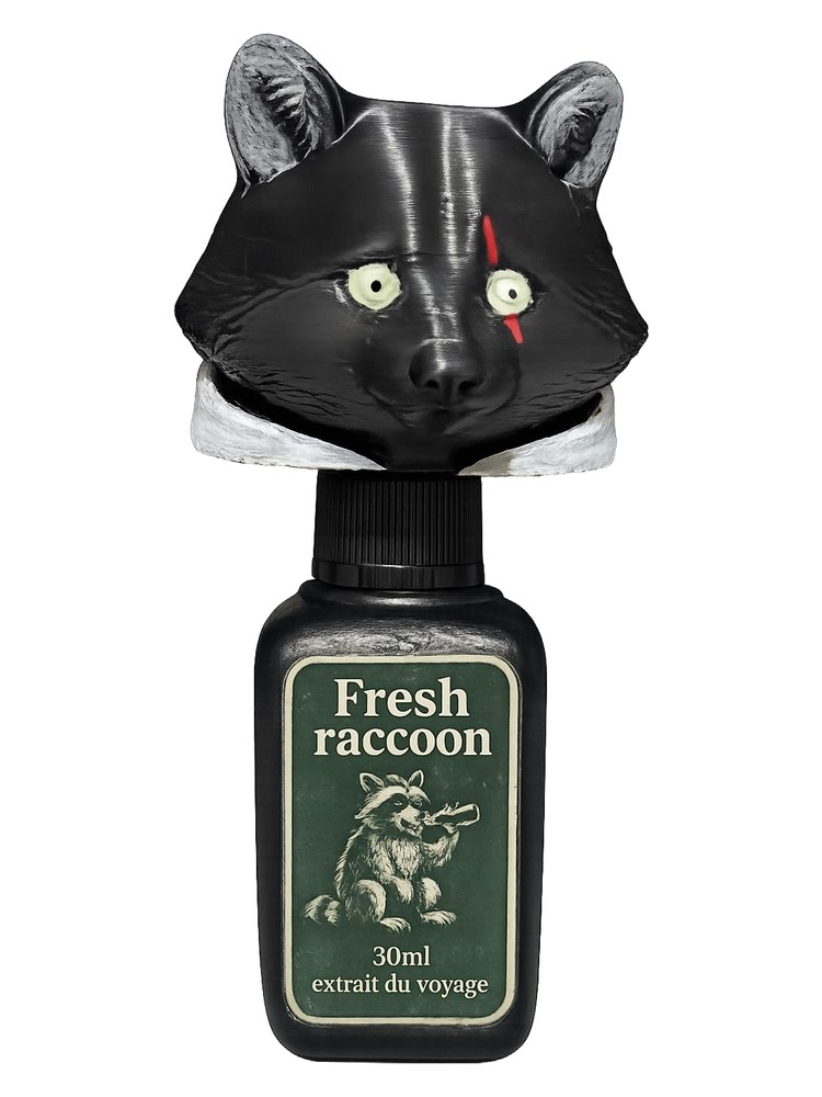 Fresh Racoon