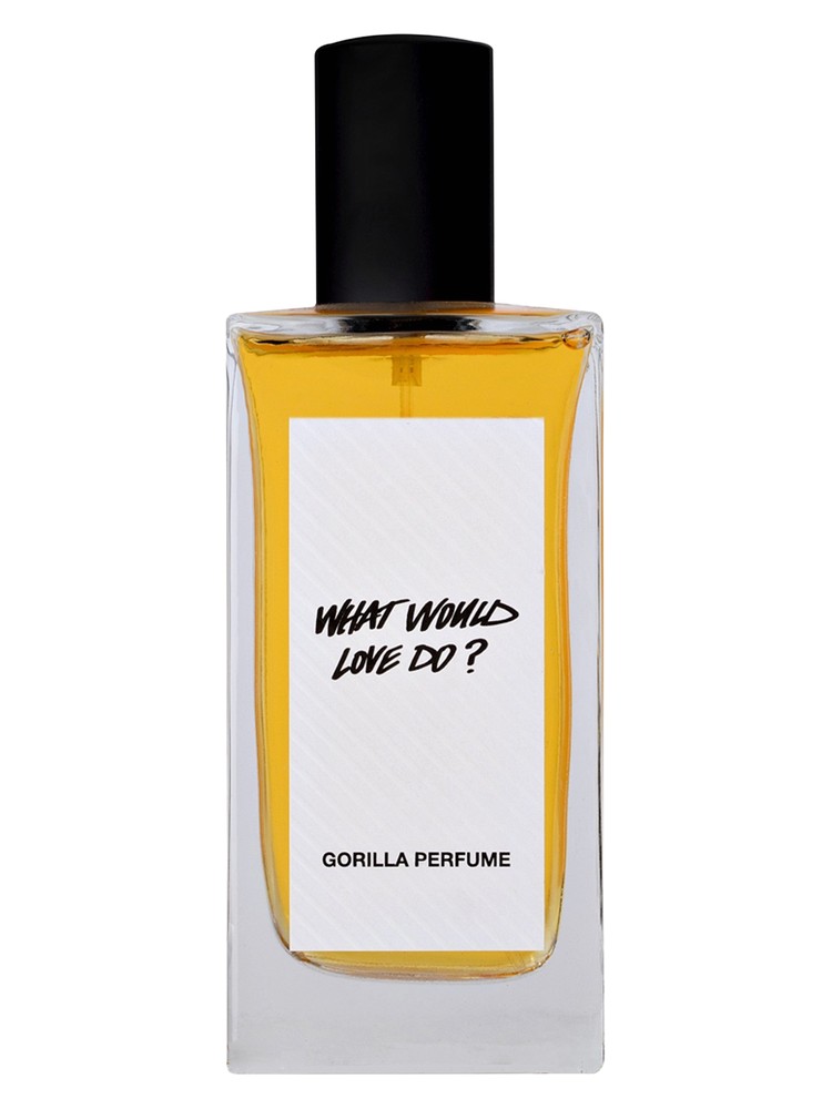 What Would Love Do