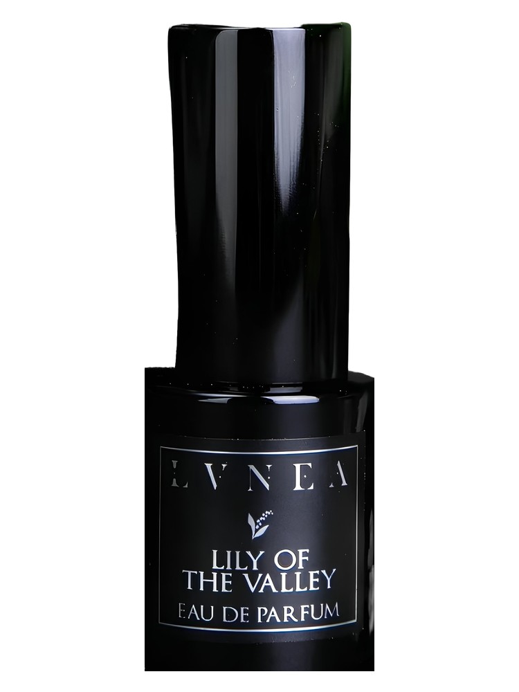 Lily of the Valley