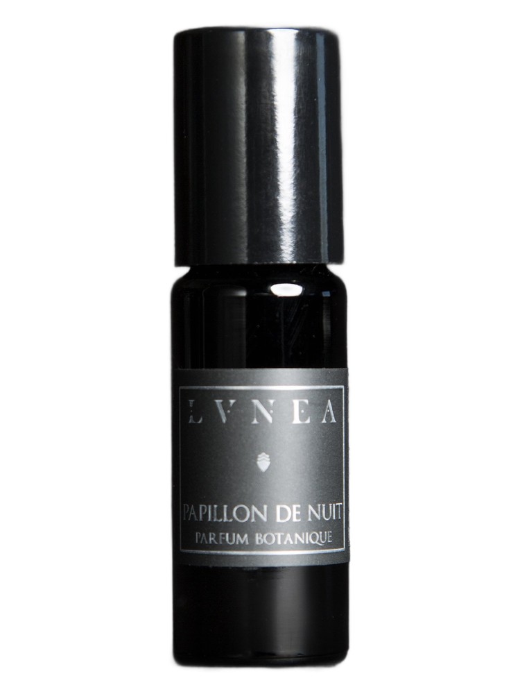 Papillon de Nuit
