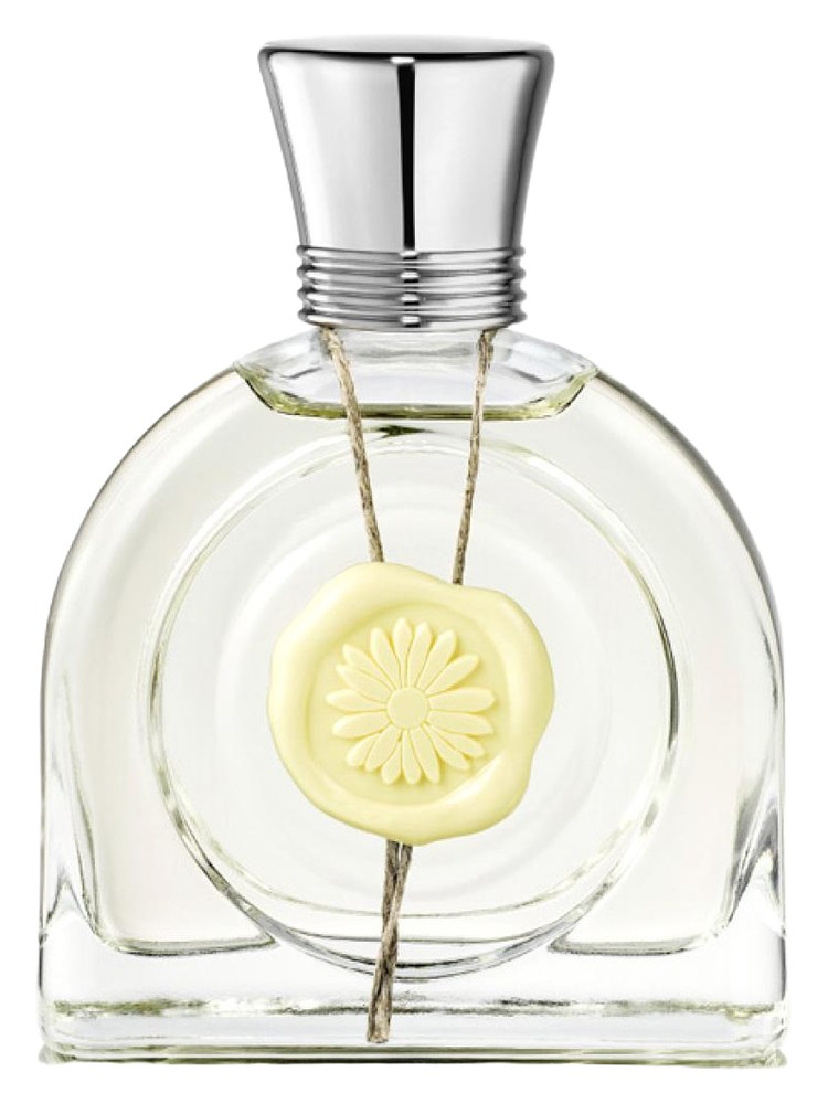 Fleur Lumière