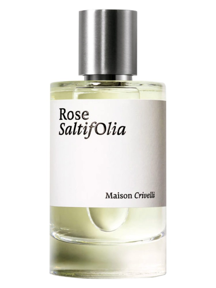 Rose SaltifOlia