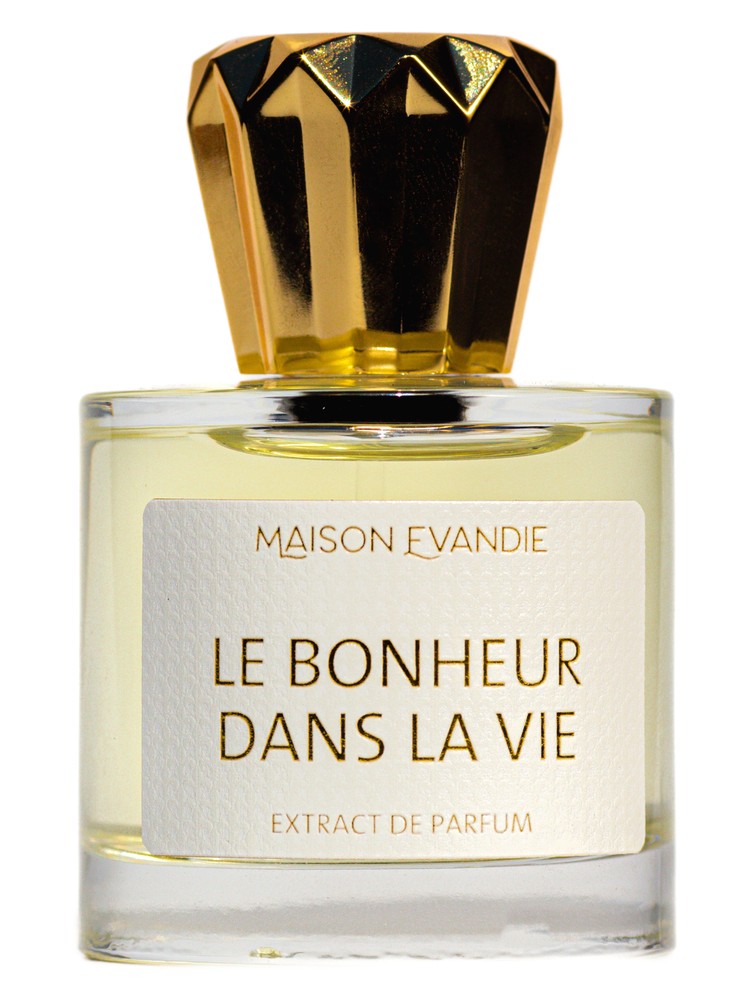 Le Bonheur Dans La Vie