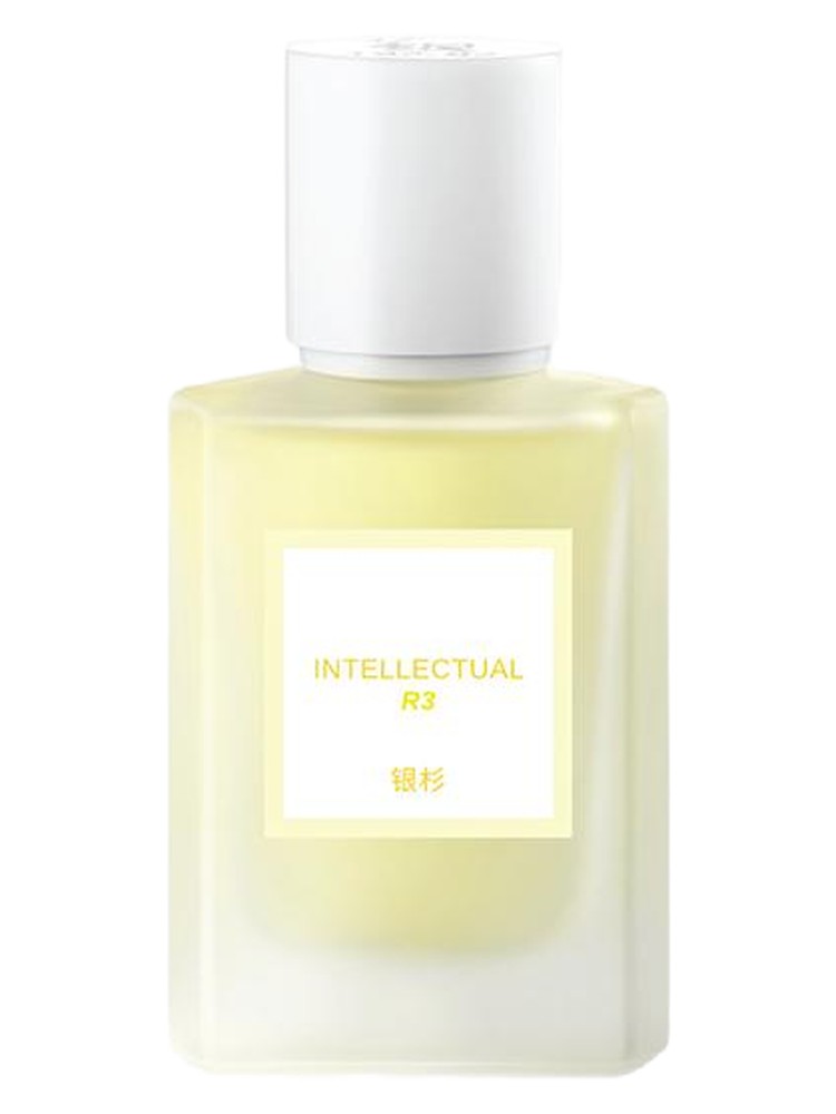 Intellectual 高知