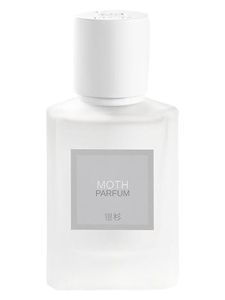 Moth 蛾