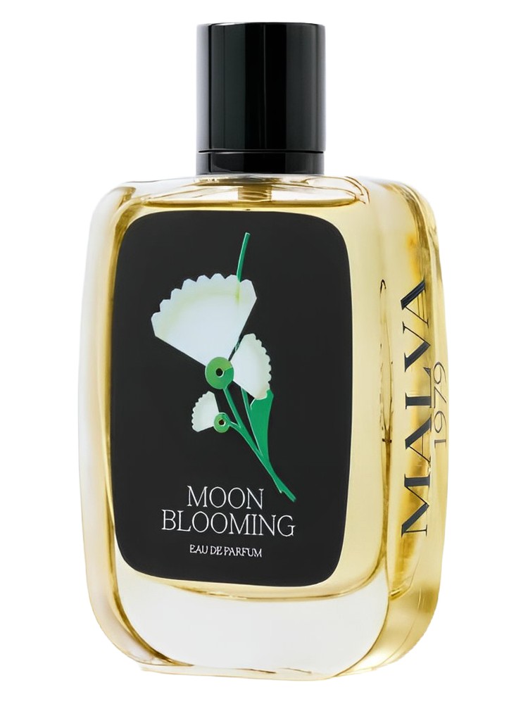 Moon Blooming
