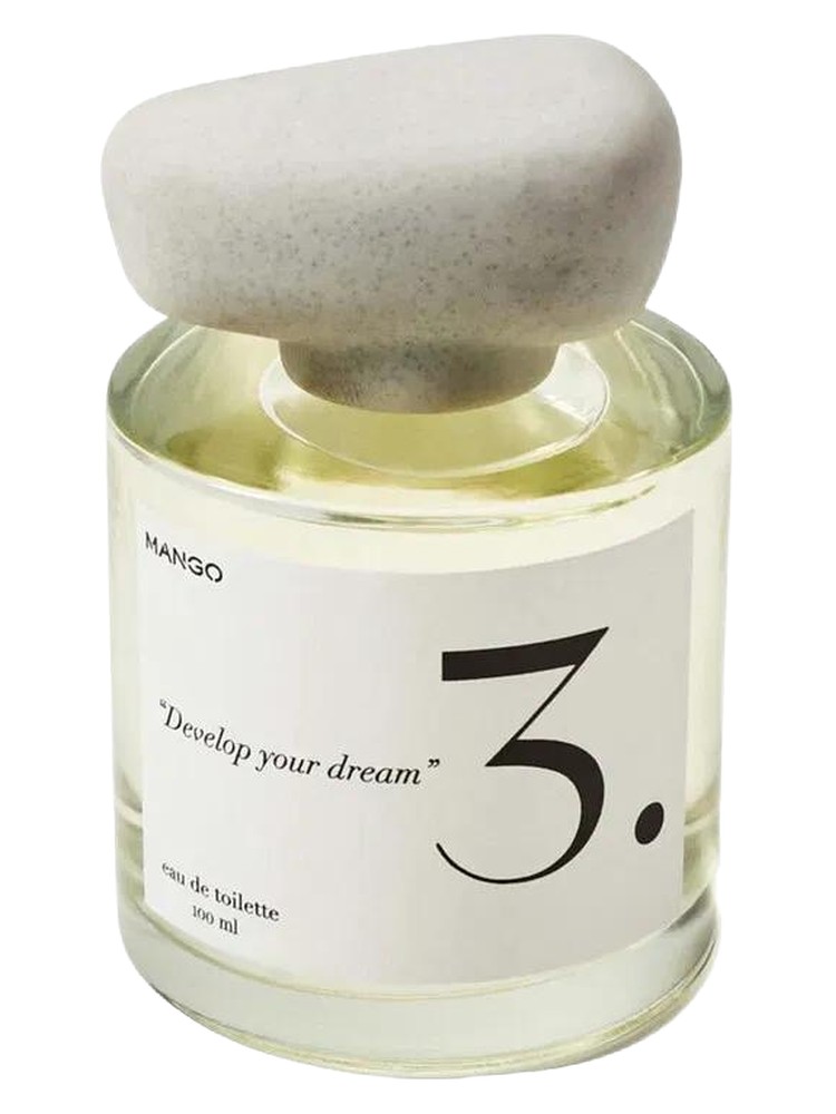 3. Develop Your Dream