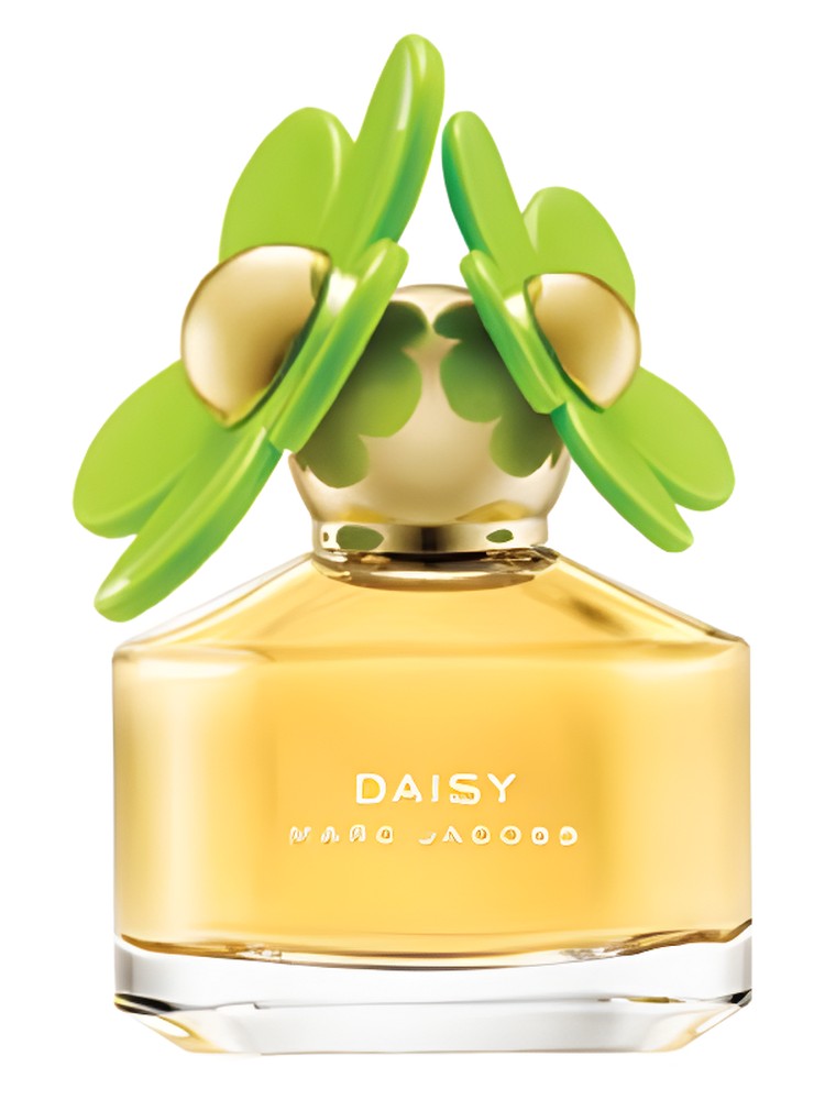 Daisy Bloom