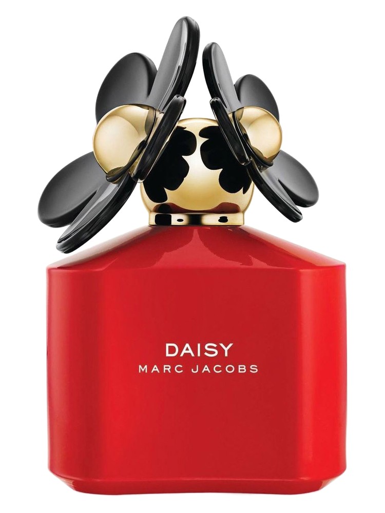 Daisy Pop Art Edition