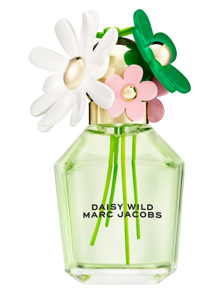 Daisy Wild