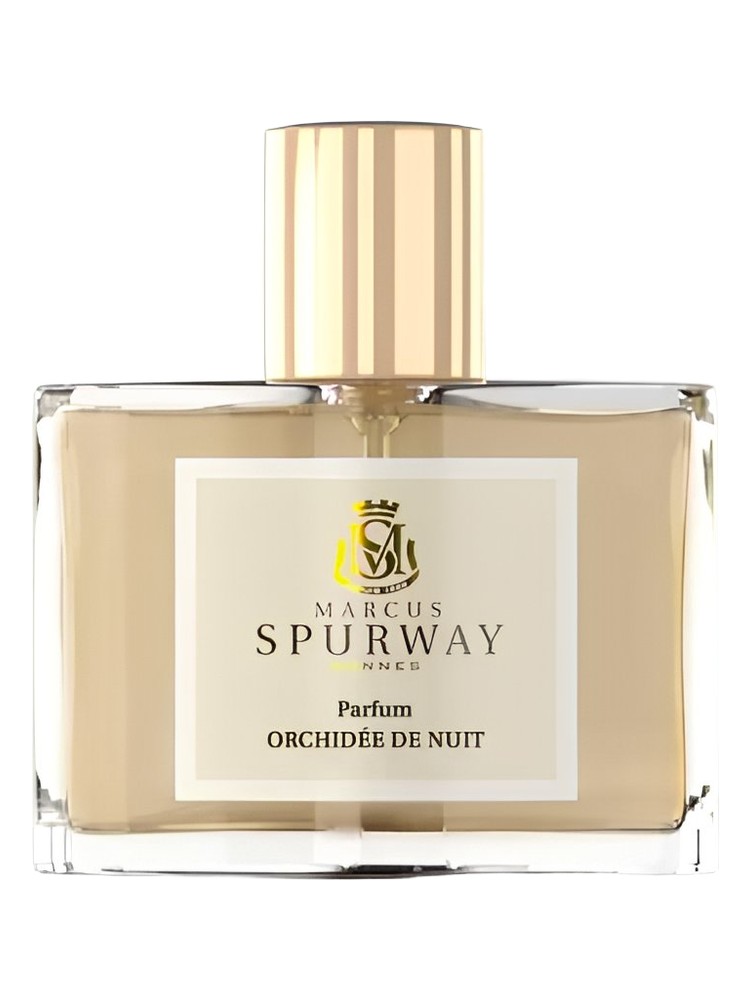 Orchidée de Nuit