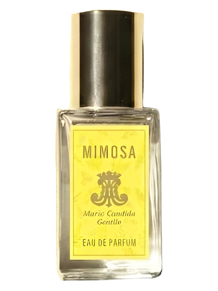 Mimosa