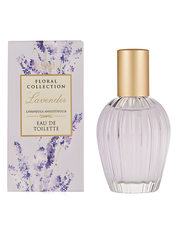 Lavender