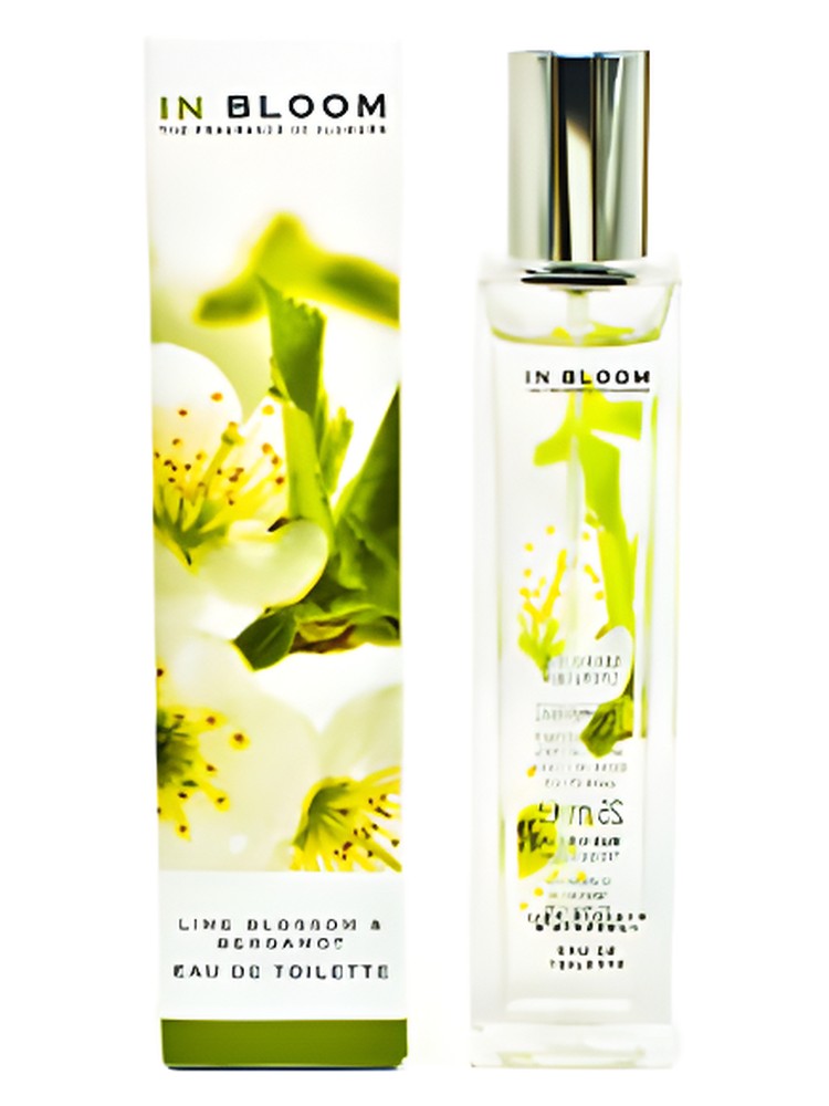 Lime Blossom and Bergamot