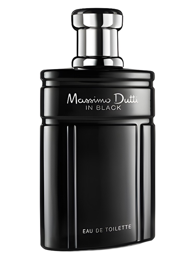 Massimo Dutti In Black