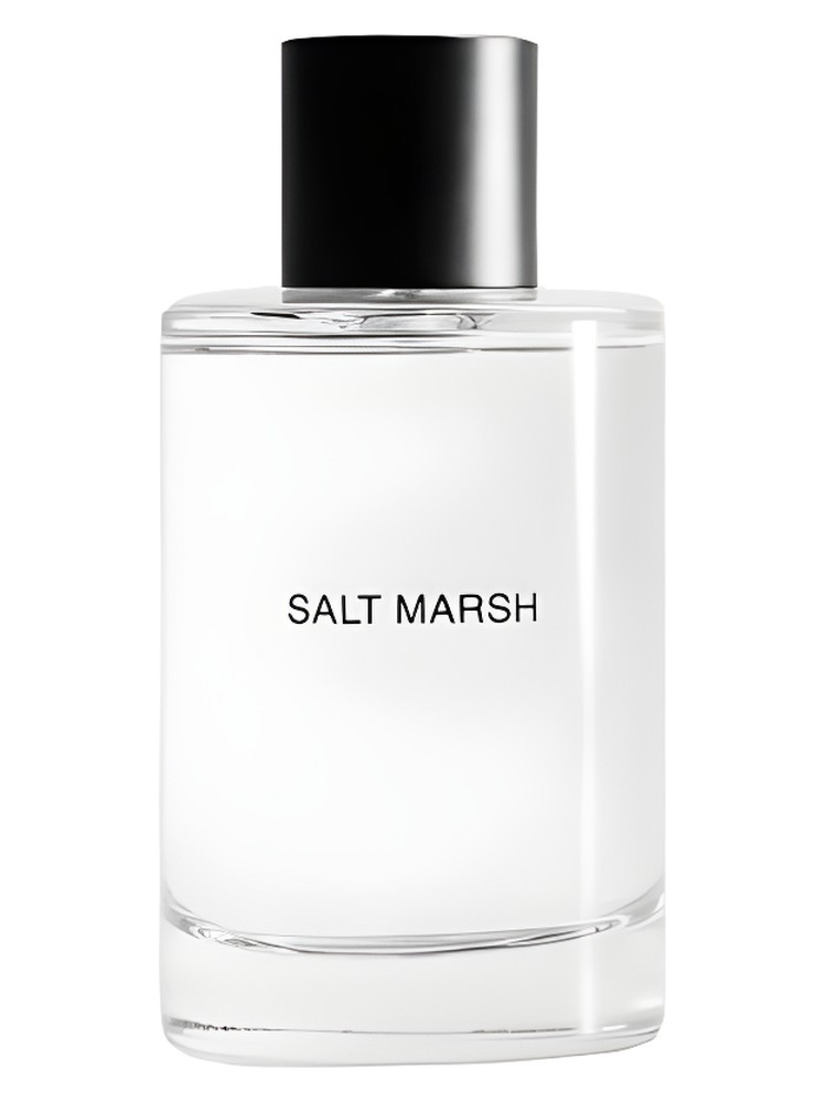 Salt March