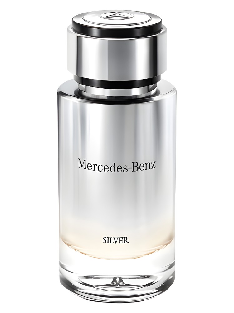 Mercedes-Benz Silver