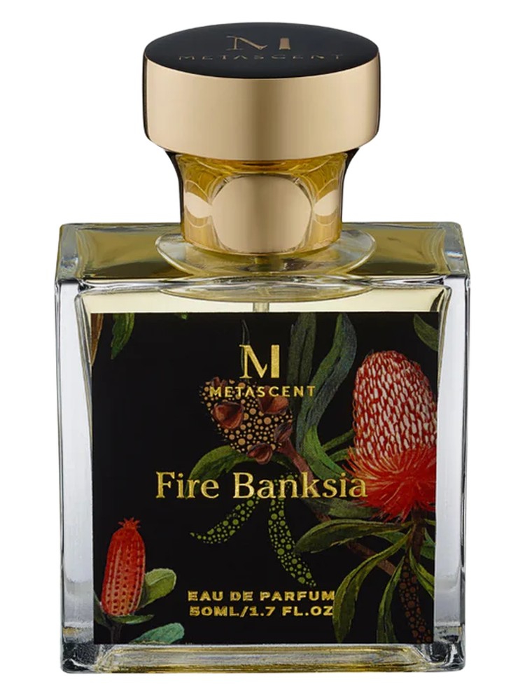 Fire Banksia