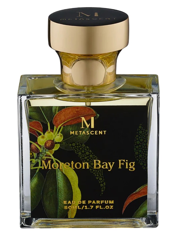 Moreton Bay Fig