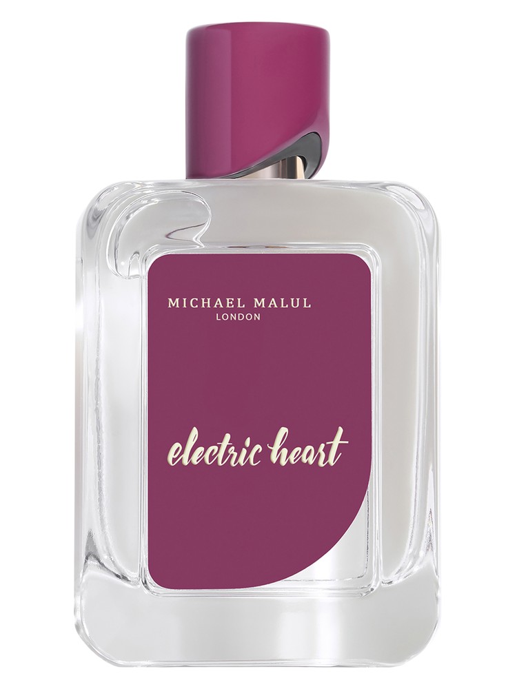 Electric Heart