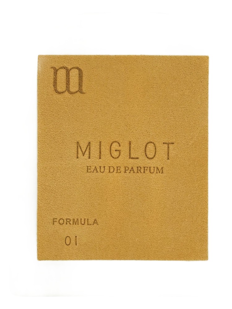 Formula 01