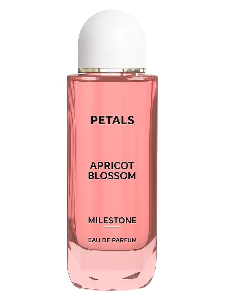 Petals Apricot Blossom