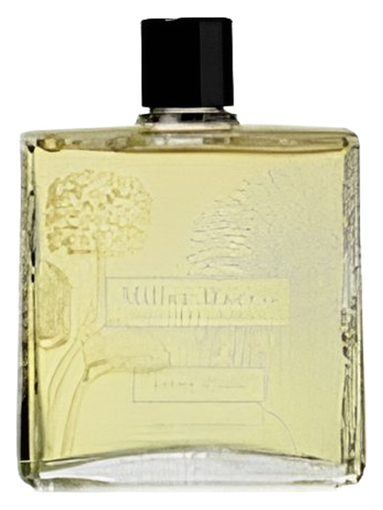 Cologne 1888