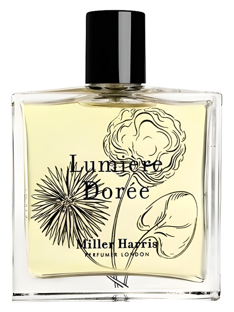 Lumière Dorée